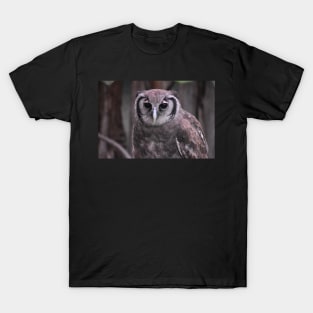 Milky Eagle Owl T-Shirt